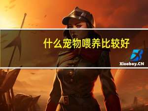 什么宠物喂养比较好
