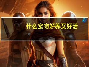 什么宠物好养又好活