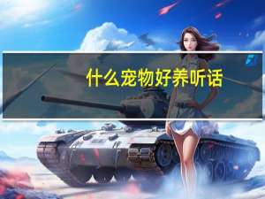 什么宠物好养听话
