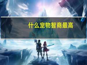什么宠物智商最高