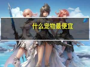 什么宠物最便宜