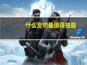 什么宠物最值得抽脂