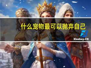 什么宠物最可以抛弃自己