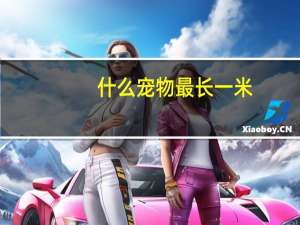 什么宠物最长一米
