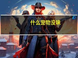 什么宠物没味