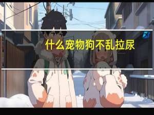 什么宠物狗不乱拉尿