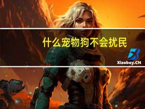 什么宠物狗不会扰民