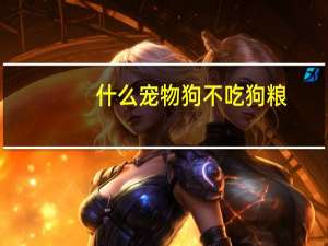 什么宠物狗不吃狗粮