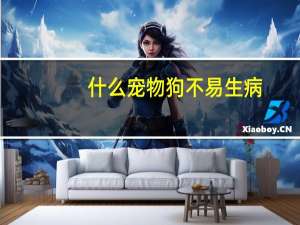 什么宠物狗不易生病