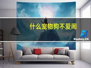 什么宠物狗不爱闹