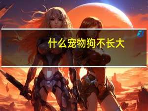 什么宠物狗不长大