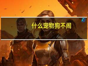 什么宠物狗不闹