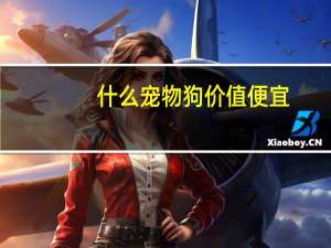 什么宠物狗价值便宜