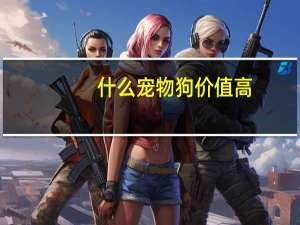什么宠物狗价值高