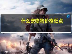 什么宠物狗价格低点
