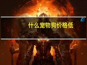 什么宠物狗价格低