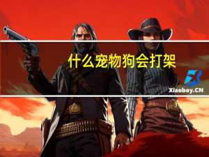什么宠物狗会打架