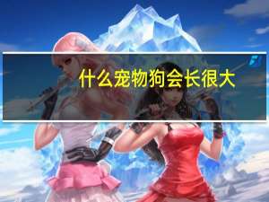 什么宠物狗会长很大