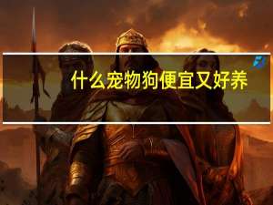 什么宠物狗便宜又好养