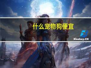 什么宠物狗便宜