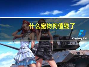什么宠物狗值钱了