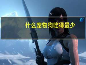 什么宠物狗吃得最少