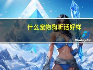 什么宠物狗听话好样