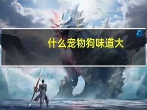 什么宠物狗味道大