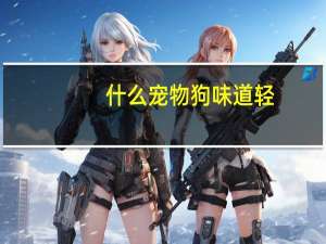 什么宠物狗味道轻