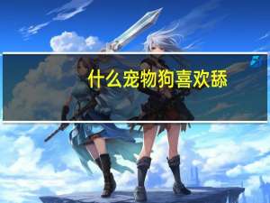 什么宠物狗喜欢舔