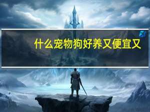 什么宠物狗好养又便宜又