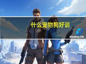 什么宠物狗好训