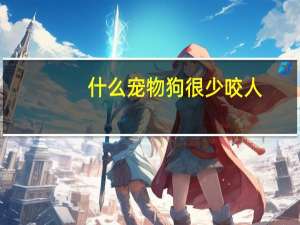 什么宠物狗很少咬人