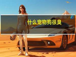 什么宠物狗很臭