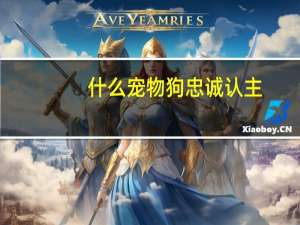 什么宠物狗忠诚认主