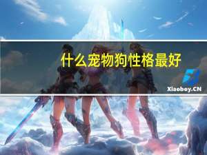 什么宠物狗性格最好