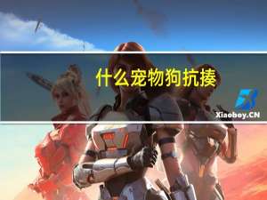 什么宠物狗抗揍