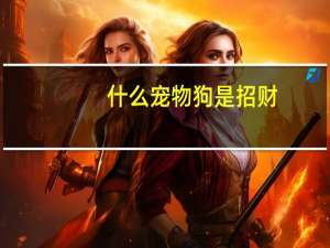 什么宠物狗是招财