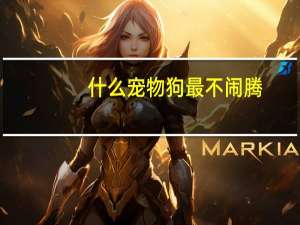 什么宠物狗最不闹腾