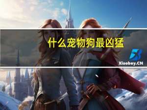 什么宠物狗最凶猛