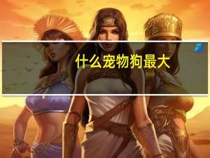 什么宠物狗最大