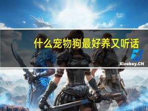 什么宠物狗最好养又听话