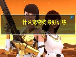 什么宠物狗最好训练