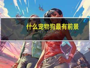 什么宠物狗最有前景