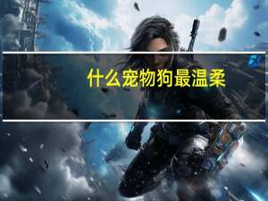 什么宠物狗最温柔