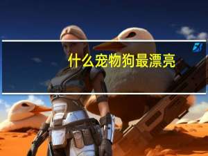 什么宠物狗最漂亮