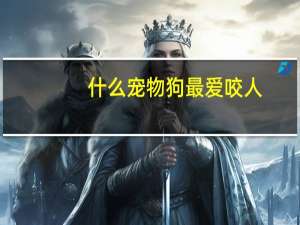 什么宠物狗最爱咬人