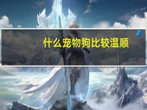 什么宠物狗比较温顺