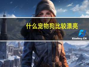 什么宠物狗比较漂亮