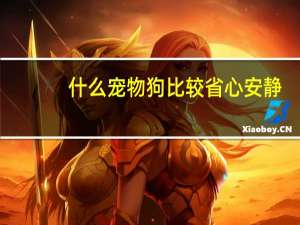 什么宠物狗比较省心安静